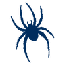 Richmond Spiders