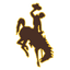 Wyoming Cowboys